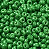 Baking Paint Glass Seed Beads SEED-B001-02A-05-3