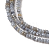Natural Freshwater Shell Beads Strands SHEL-P017-01A-13-3
