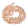 Frosted Transparent Glass Bead Strands GLAA-P065-6mm-05-5