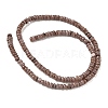 Dyed Natural Freshwater Shell Beads Strands BSHE-G039-07I-2