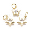 Brass Micro Pave Cubic Zirconia Charms X-ZIRC-F111-09G-08-1