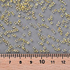 11/0 Grade A Round Glass Seed Beads SEED-N001-E-302-3