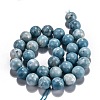 Natural Gemstone Beads Strands G-L367-01-6mm-6