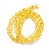 Transparent Glass Beads GLAA-F112-04C-3