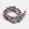 Natural Shell Beads Strands G-E457-02-2