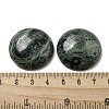 Natural Kambaba Jasper Cabochons G-C115-02B-24-3