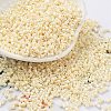 Baking Paint Glass Seed Beads SEED-S042-15B-25-1