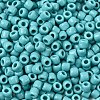 TOHO 3/0 Round Beads SEED-XTR03-0055-2