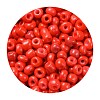 6/0 Baking Paint Glass Seed Beads SEED-US0001-04-4mm-6