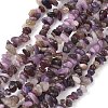 Natural Lepidolite/Purple Mica Stone Beads Strands G-Z081-A01-2