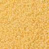 MIYUKI Round Rocailles Beads SEED-G008-RR0202-3