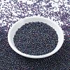 MIYUKI Round Rocailles Beads X-SEED-G007-RR0333-2