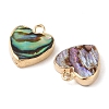Natural Paua Shell Heart Charms with Brass Edge SHEL-P017-19G-2