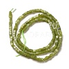 Natural Xinyi Jade/Chinese Southern Jade Beads Strands G-B064-A04-3