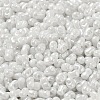 Glass Seed Beads SEED-K009-02A-10-3