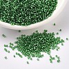 MIYUKI Delica Beads X-SEED-J020-DB0046-1