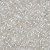 Glass Seed Beads SEED-A006-3mm-101-2