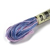10 Skeins 6-Ply Polyester Embroidery Floss OCOR-K006-A66-2