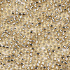 Glass Seed Beads SEED-S042-04A-05-3