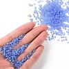 (Repacking Service Available) Glass Seed Beads SEED-C017-3mm-M6-4