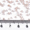 6/0 Glass Seed Beads X-SEED-A015-4mm-2221-4