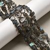 Natural Labradorite Beads Strands G-A279-A01-01-1