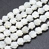 Natural White Shell Beads Strands SSHEL-P015-01A-12mm-1