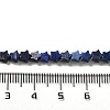 Natural Lapis Lazuli Beads Strands G-G085-B02-02-4