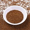 MIYUKI Delica Beads SEED-X0054-DB2109-3