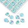 Pointed Back Glass Rhinestone Cabochons GGLA-S003-03E-1