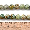 Natural Peruvian Turquoise(Jasper) Beads Strands G-T150-A01-8mm-5