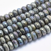 Electroplate Natural Labradorite Beads Strands G-K256-27E-1