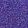 MIYUKI Delica Beads Small X-SEED-J020-DBS0880-3