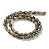 Natural Dalmatian Jasper Beads Strands G-I369-B03-01-3