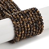 Natural Tiger Eye Beads Strands G-G105-A06-02-1