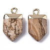 Natural Picture Jasper Pointed Pendants G-N326-34I-2