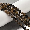 Natural Chiastolite Beads Strands G-Q161-A03-02-2