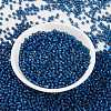 MIYUKI Round Rocailles Beads SEED-X0055-RR0648-2