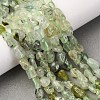 Natural Prehnite Beads Strands G-F521-29-2