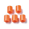 PE Fuse Beads X-DIY-R013-77-2