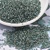 MIYUKI Delica Beads SEED-J020-DB2379-1