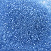 MIYUKI Delica Beads SEED-MY11-DB0113-3