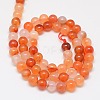Natural Carnelian Beads Strands G-N0006-6mm-17-4