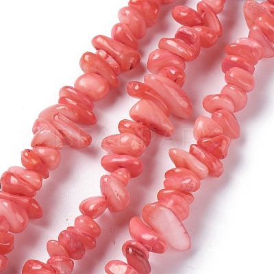 Natural Freshwater Shell Beads Strands BSHE-I016-01-1
