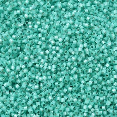 MIYUKI Delica Beads SEED-X0054-DB0627-1