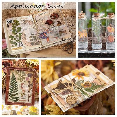 6Pcs Plant PET Adhesive Waterproof Stickers DIY-K074-01A-1