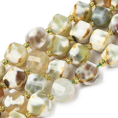 Natural Fire Crackle Agate Beads Strands G-U023-A16-02-1