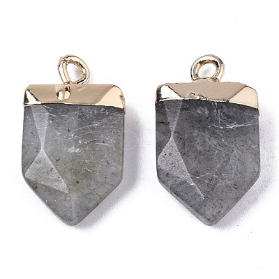 Natural Labradorite Pointed Pendants X-G-N326-34C-1