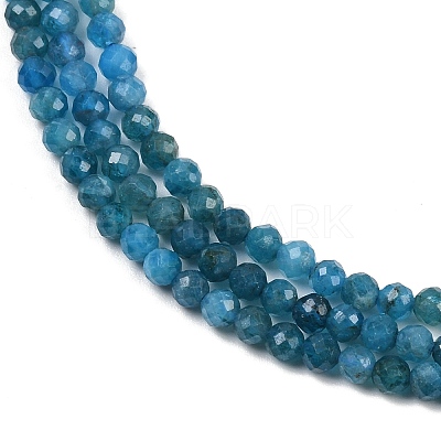 Natural Apatite Beads Strands G-E411-36-3mm-01-1
