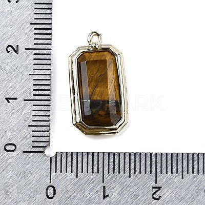 Natural Tiger EyePendants G-U019-04G-06-1
